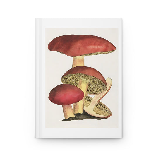 Jaipur Shroom Journal, Hardcover Matte