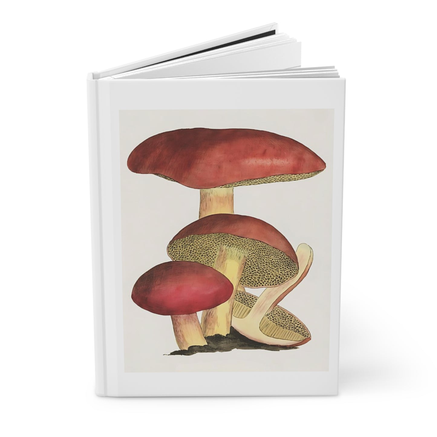 Jaipur Shroom Journal, Hardcover Matte