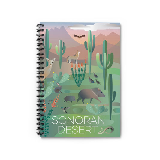 JOURNAL DU DÉSERT DE SONORA